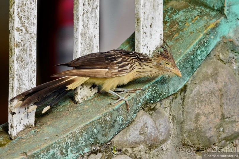 Bolivia te espera! Часть 8