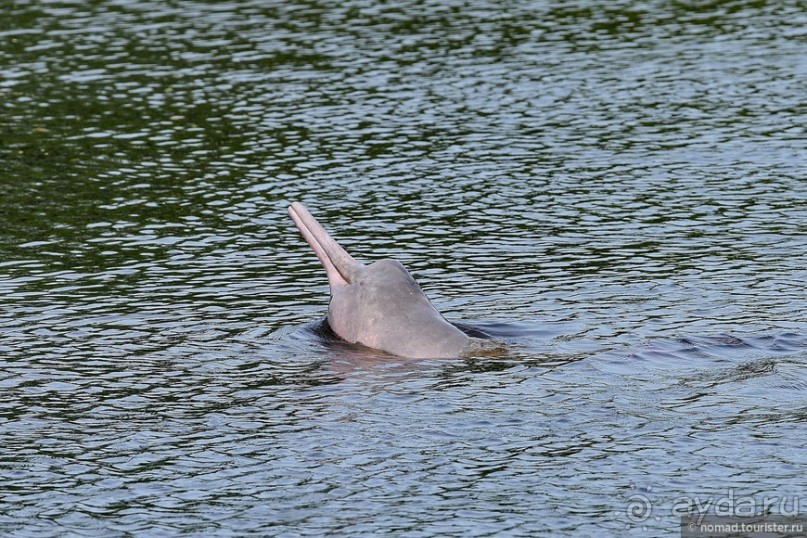 Bolivia te espera! Часть 8