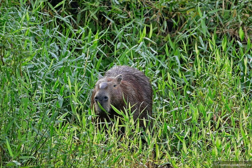 Bolivia te espera! Часть 8