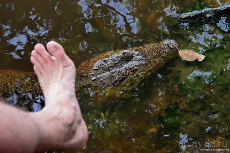 Bolivia te espera! Часть 8