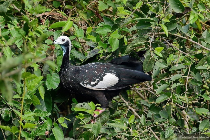 Bolivia te espera! Часть 8