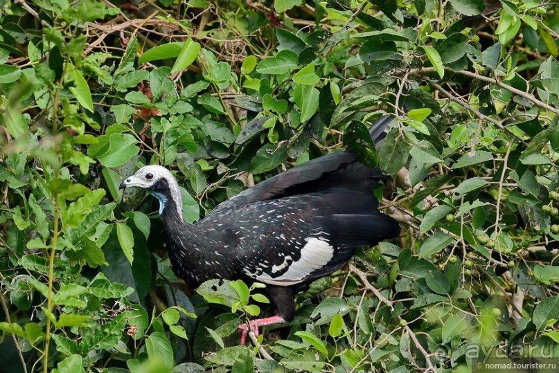 Bolivia te espera! Часть 8