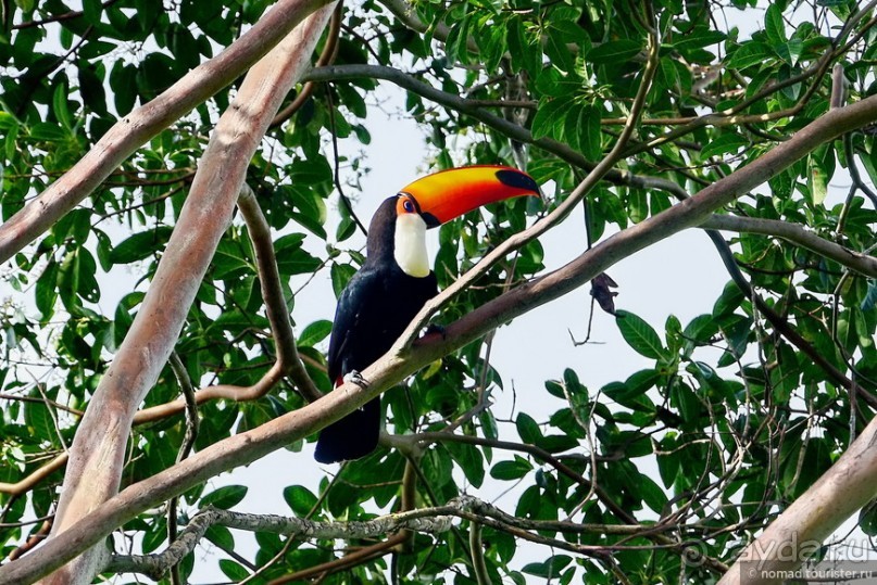 Bolivia te espera! Часть 8