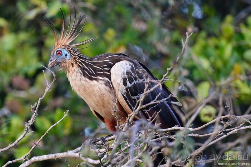 Bolivia te espera! Часть 8