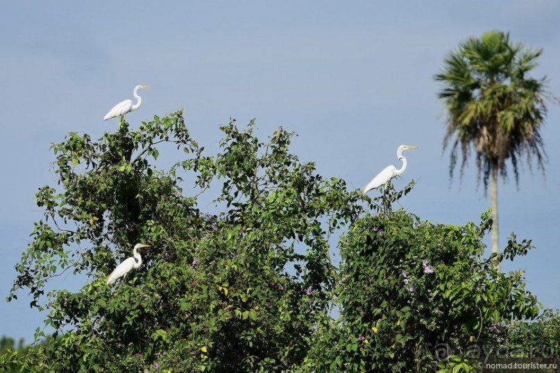 Bolivia te espera! Часть 8