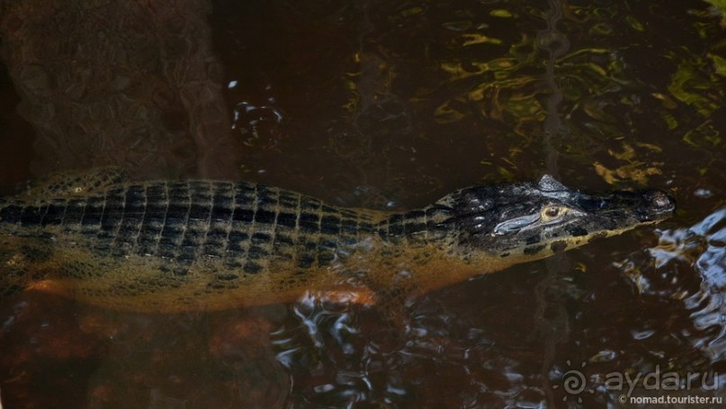 Bolivia te espera! Часть 8