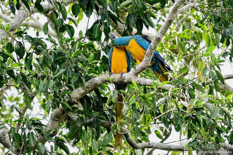 Bolivia te espera! Часть 8