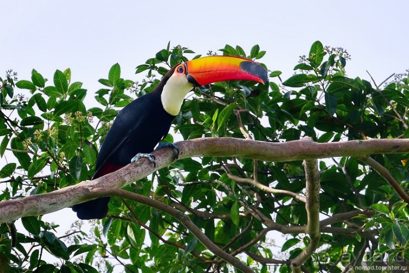 Bolivia te espera! Часть 8