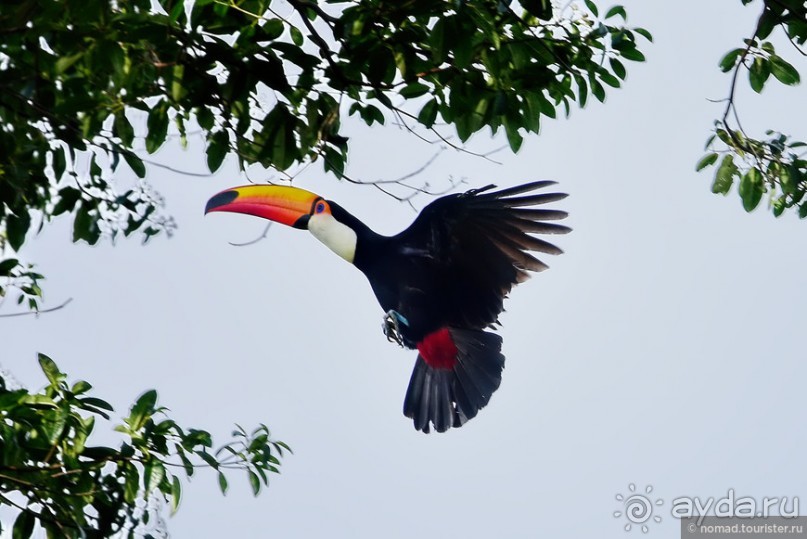 Bolivia te espera! Часть 8