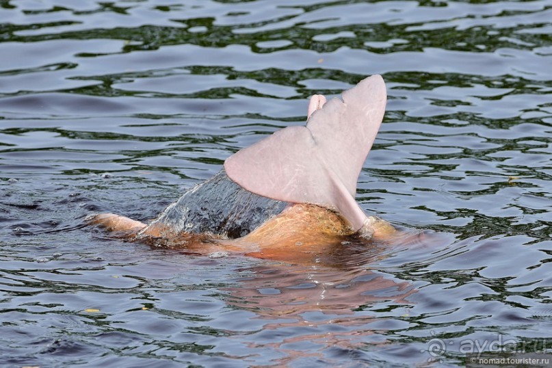 Bolivia te espera! Часть 8