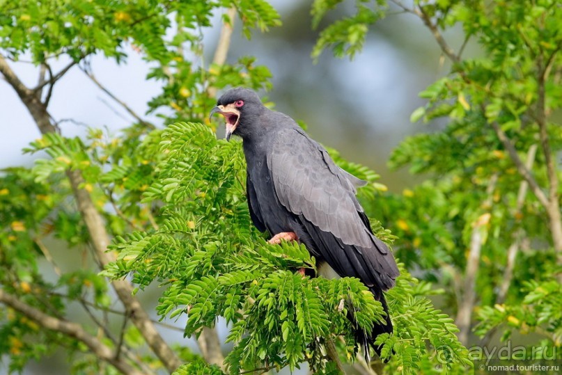 Bolivia te espera! Часть 8