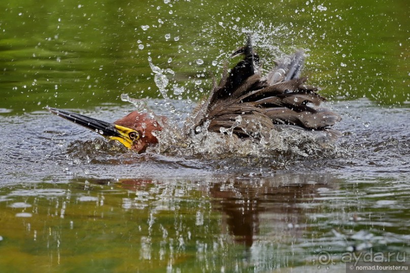 Bolivia te espera! Часть 8