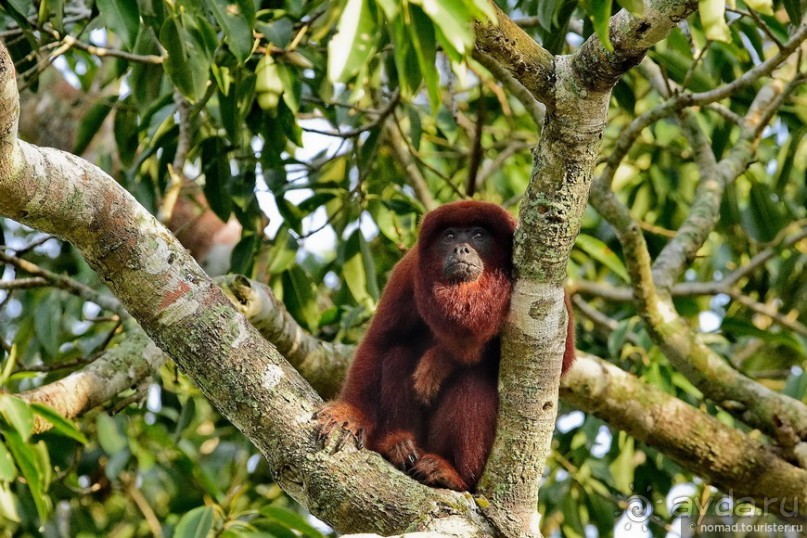 Bolivia te espera! Часть 8