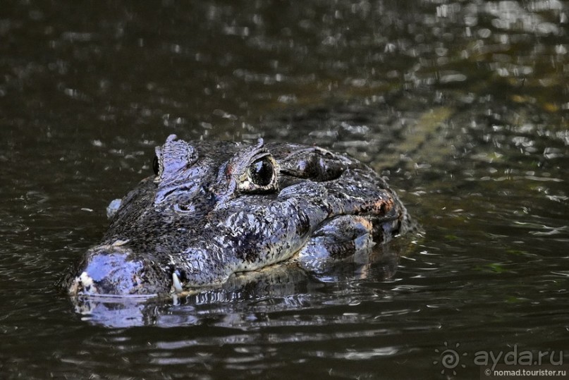 Bolivia te espera! Часть 8
