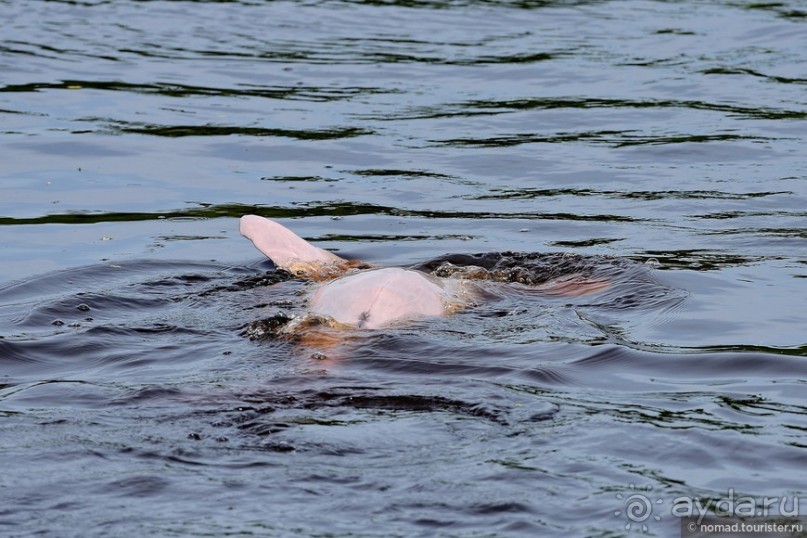 Bolivia te espera! Часть 8