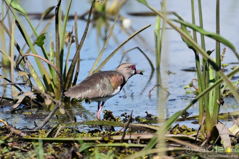 Bolivia te espera! Часть 8