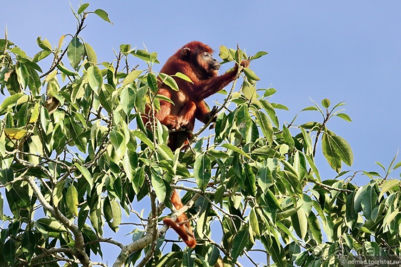 Bolivia te espera! Часть 8
