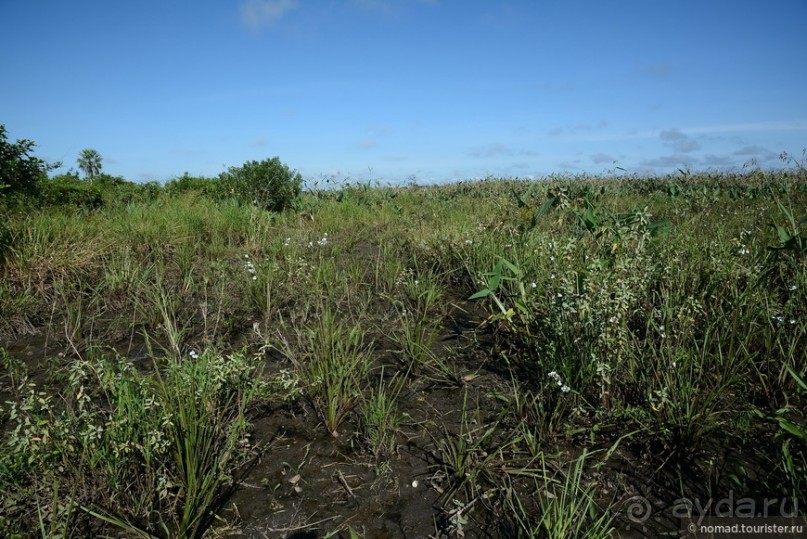 Bolivia te espera! Часть 8