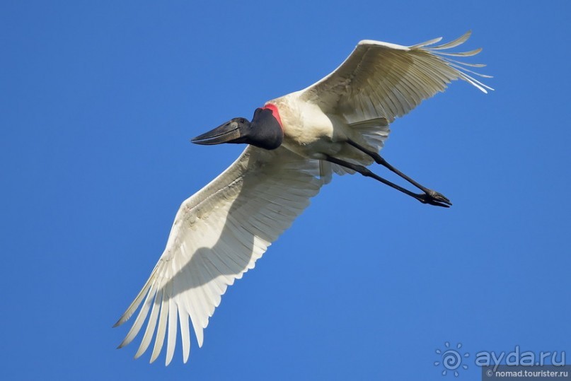 Bolivia te espera! Часть 8