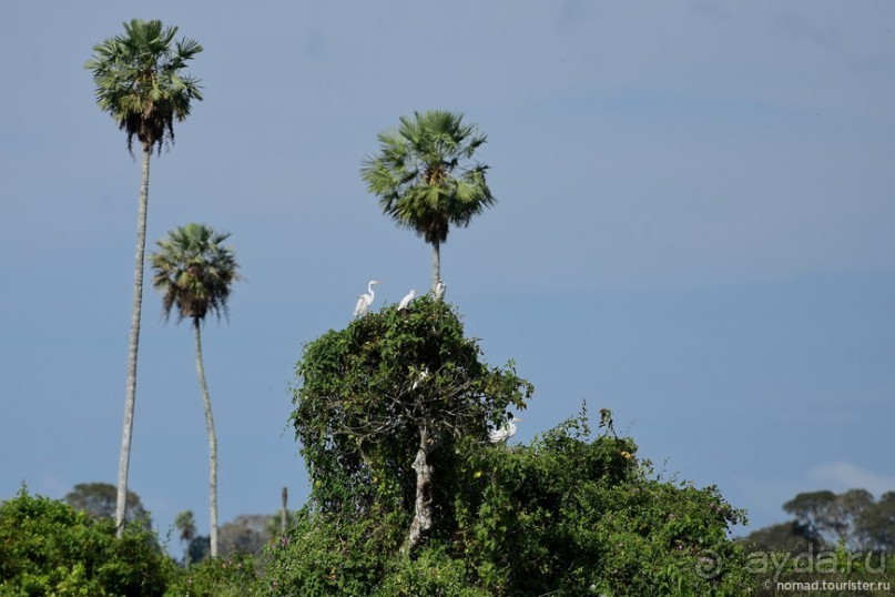 Bolivia te espera! Часть 8