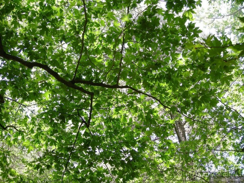 Мифос и Метакса древнего Родоса. Часть 4