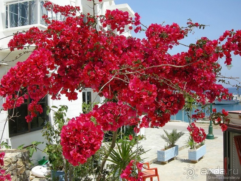 Мифос и Метакса древнего Родоса. Часть 4