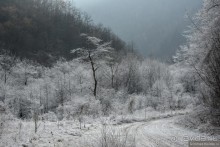 Балканское кольцо. Часть 6