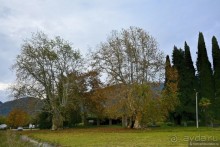 Между Псоу и Ингур. Часть 4