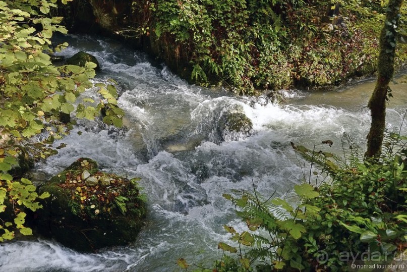 Альбом отзыва "Между Псоу и Ингур. Часть 4"