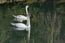 Между Псоу и Ингур. Часть 4