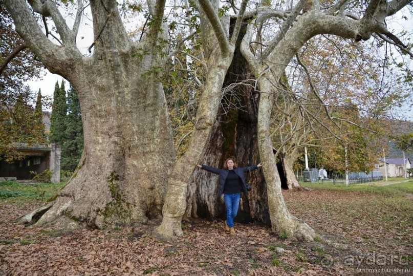 Между Псоу и Ингур. Часть 4
