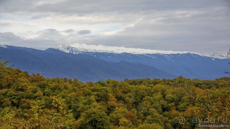 Между Псоу и Ингур. Часть 4
