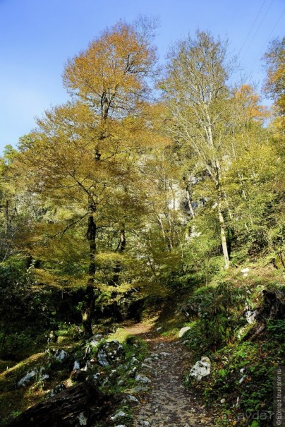 Между Псоу и Ингур. Часть 4