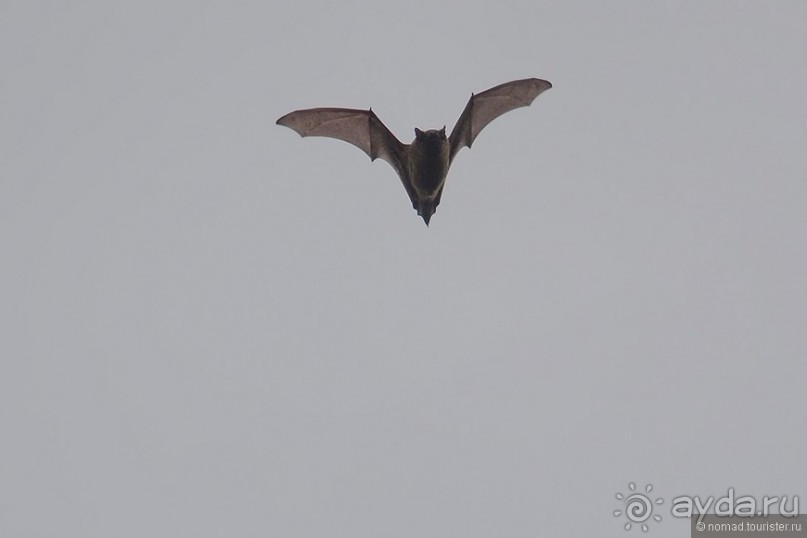 Между Псоу и Ингур. Часть 4