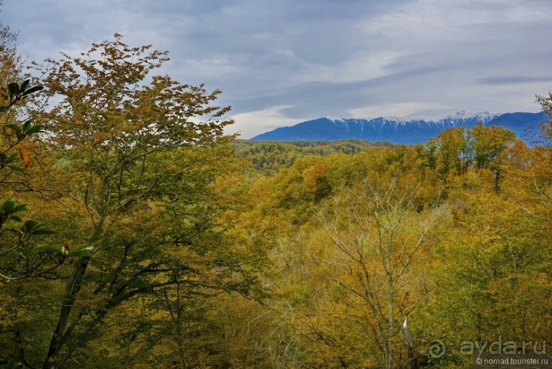 Между Псоу и Ингур. Часть 4