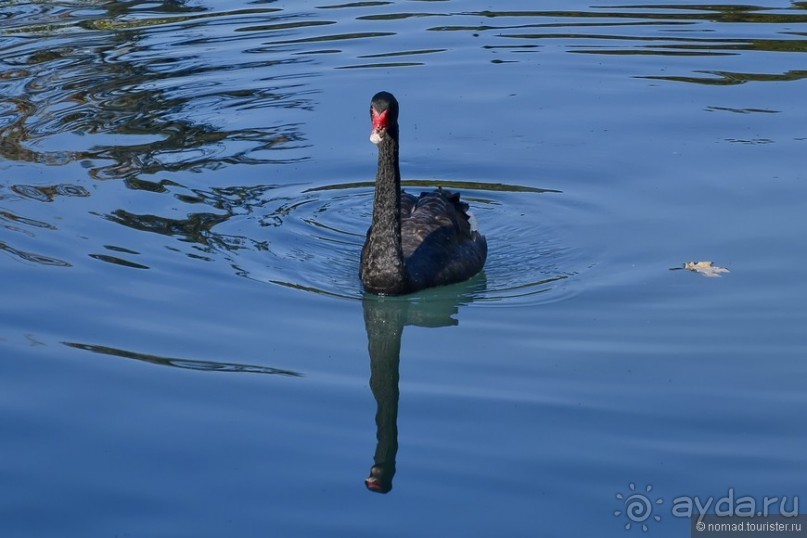 Между Псоу и Ингур. Часть 4