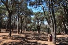 Прогулки по Стамбулу. Холм Чамлыджа