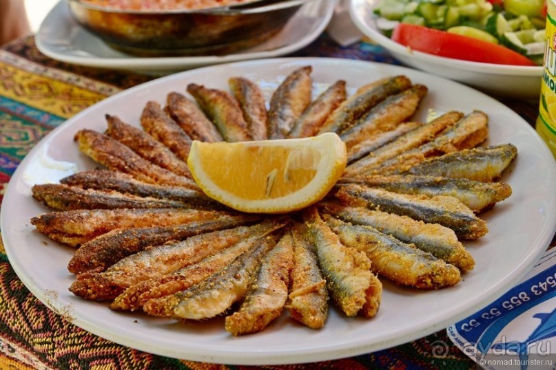 Прогулки по Стамбулу. Холм Чамлыджа