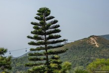 Китайский триптих