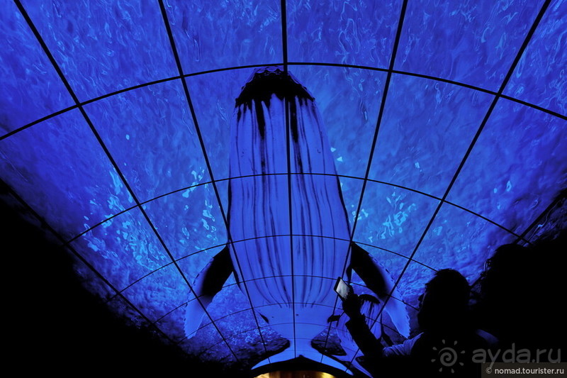 Китайский триптих