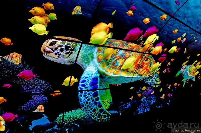 Китайский триптих