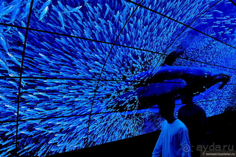 Китайский триптих