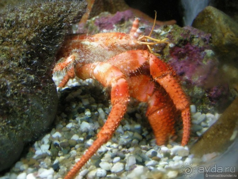 Мифос и Метакса древнего Родоса. Часть 2