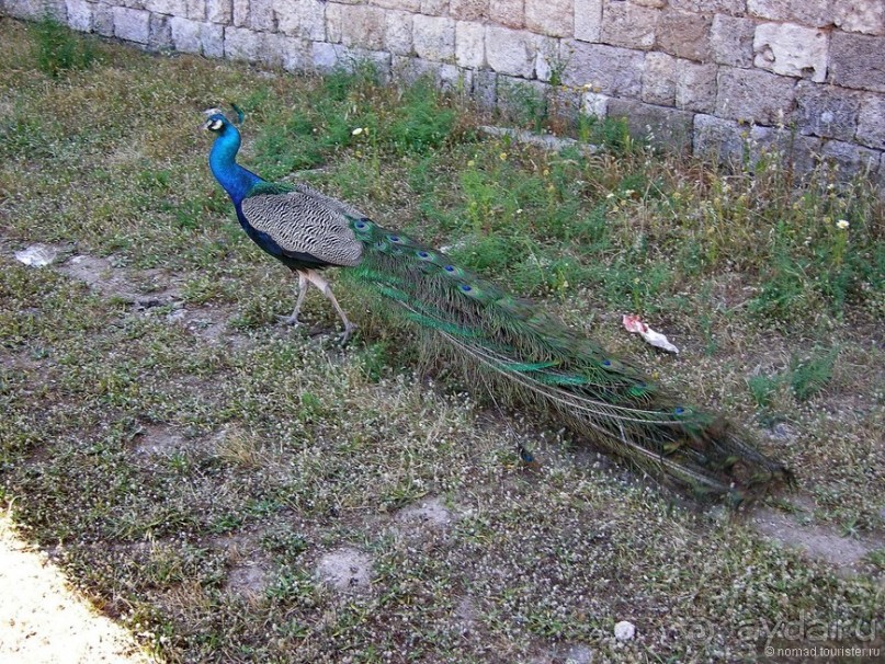 Мифос и Метакса древнего Родоса. Часть 2