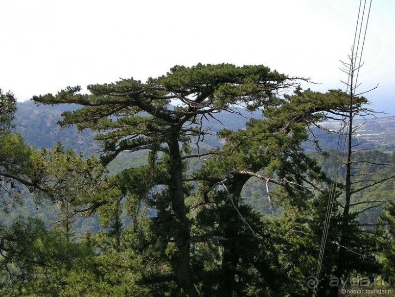 Мифос и Метакса древнего Родоса. Часть 2