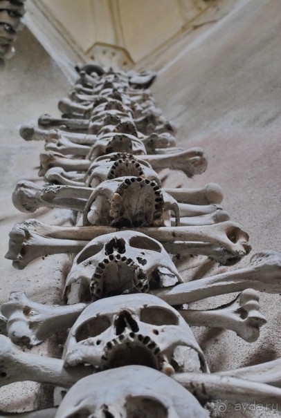 Кутна-Гора, или Милые Кости