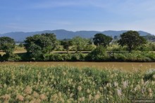 ТАИЛАНДиЯ. Часть 7