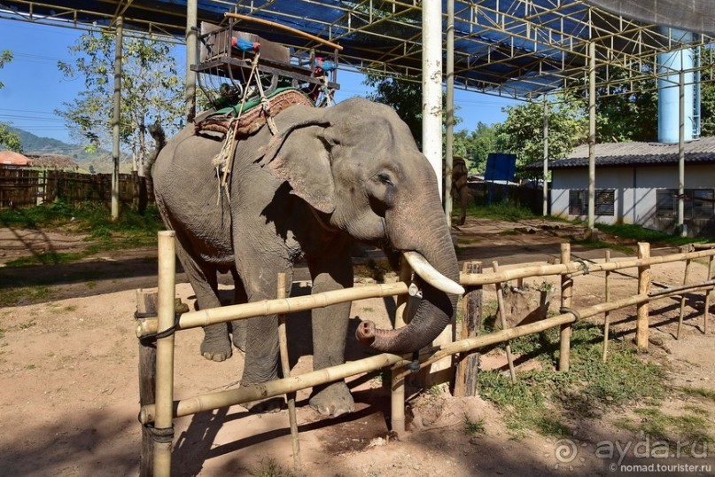 ТАИЛАНДиЯ. Часть 7