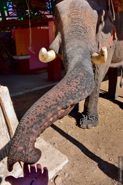 ТАИЛАНДиЯ. Часть 7