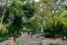 Мой дорогой Гонконг...